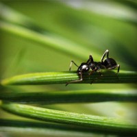 /album/la-bufalotta/photolia-a05-jpg/