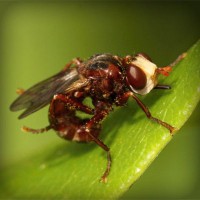 /album/la-bufalotta/photolia-a06-jpg/